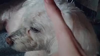 طالب يثير ضجة بسبب طول إبهامه (فيديو وصور)