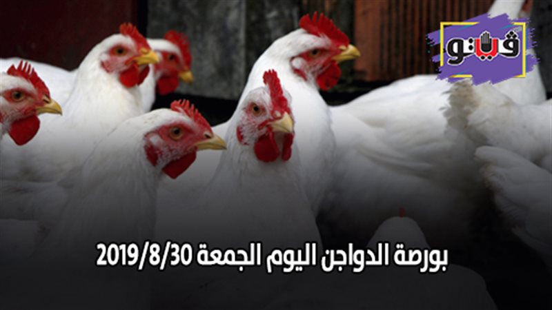 بورصة الدواجن اليوم