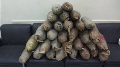 ضبط 144 كيلو بانجو قبل تهريبها بالسويس