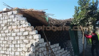 بالصور.. إزالة 38 حالة تعدٍ على الأراضي الزراعية بطوخ