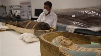 موقع بريطاني يرصد بالصور آثار توت عنخ أمون بالمتحف المصري الكبير