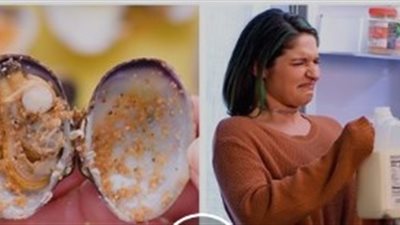 8 طرق لإصلاح الطعام التالف (فيديو)