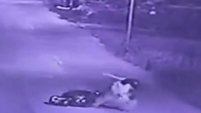 رد فعل صادم لسائق تعرضت فتاة للتحرش أمامه (فيديو)