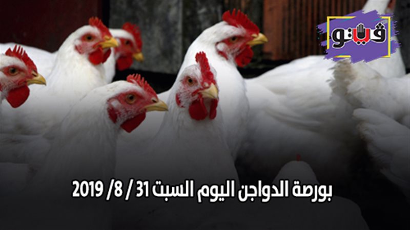 بورصة الدواجن اليوم