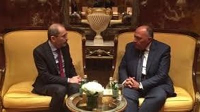 «شكري» يبحث مع «الصفدي» آخر مستجدات القضية الفلسطينية