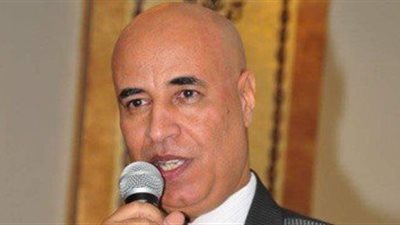 «المصريين بالخارج» يطلق مبادرة «رد الجميل» لحل أزمة الدولار