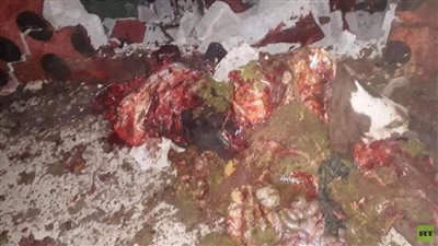 انفجار بقرتين مفخختين بالعراق (صور)