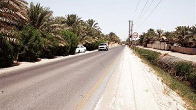 46 مليون جنيه لتغطية جانبي طريق المنصورة - دكرنس