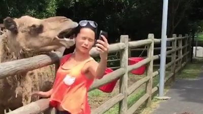 أطرف محاولات التقاط «سيلفي» تنتهي بكوارث (فيديو)