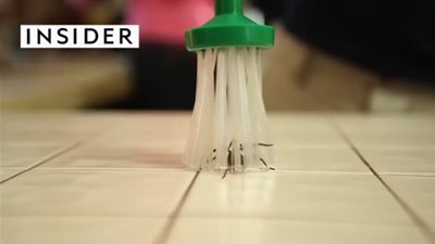 أسهل طريقة للتخلص من العناكب دون قتلها (فيديو)