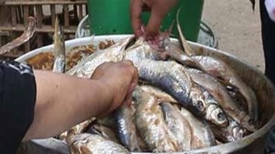 «التموين»: ضبط طن دواجن ورنجة فاسدة بحلوان والخانكة