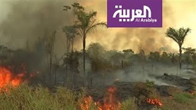 خبير بيئي يكشف عن كارثة حقيقية تهدد الحياة في الوطن العربي (فيديو)