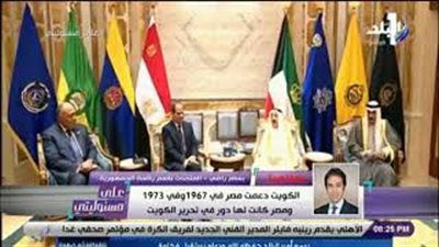 متحدث الرئاسة: السيسي يعد الكويت أمنا قوميا مصريا (فيديو)