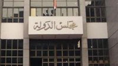 اليوم.. نظر دعوى إلغاء تصالح محتكري صمامات القلب مع حماية المنافسة