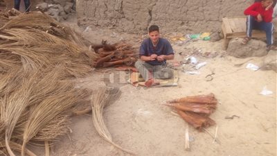 عمال صناعة مكانس ليف النخيل بالشرقية: «التكنولوجيا أوقفت حالنا» (فيديو)