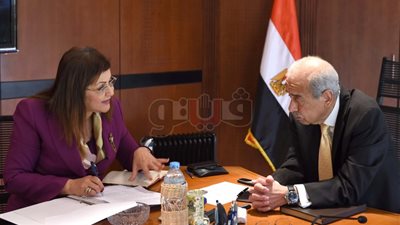 وزيرة التخطيط: إنشاء وحدة لحصر أصول الدولة غير المستغلة