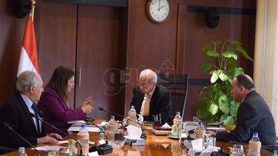 شريف إسماعيل يكلف وزيرة التخطيط بتشجيع الاستثمارات