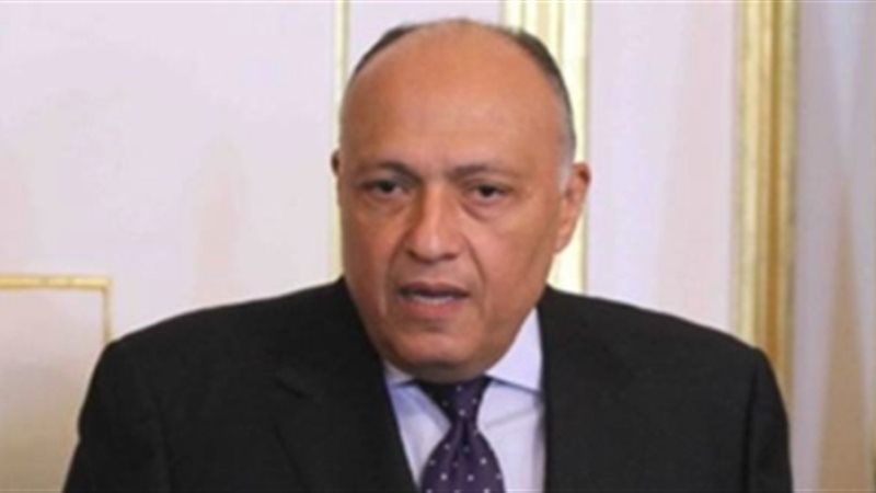 سامح شكري وزير الخارجية