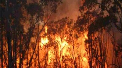 خلاف دبلوماسي بين رئيس البرازيل وماكرون بشأن أزمة الأمازون