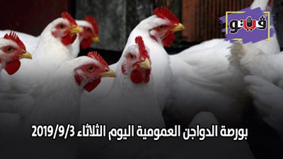 بورصة الدواجن العمومية.. أسعار الدواجن اليوم الثلاثاء 2019/9/3