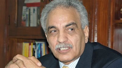 إكرام لمعى: موعد الانتخابات البرلمانية دليل على تجاهل الأقباط