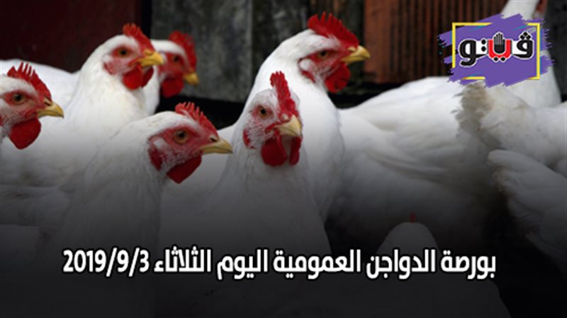 بورصة الدواجن العمومية