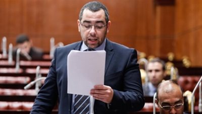 نائب: إلغاء الدولار الجمركي أمر إيجابي ولن يرفع الأسعار