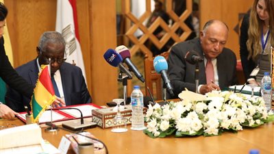 مراسم ختام أعمال الدورة السادسة من اللجنة المشتركة بين مصر وغينيا (صور)