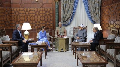 شيخ الأزهر: القيم الأساسية للأديان السماوية متشابهة وتدعو للإخوة