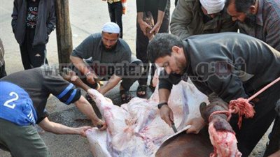 ذبح عجل احتفالا بمرور عام على الخط الثالث للمترو