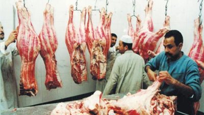 الشافعى: أزمة الدولار وراء ارتفاع أسعار اللحوم