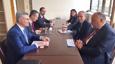 سامح شكري يبحث مع وزير خارجية مالطا التعاون المشترك