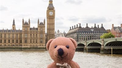 دب صغير يتجول العالم رفقة صاحبه (صور)