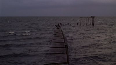 بلومبرج: مصر تستضيف قمة حول تكنولوجيا 