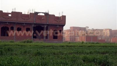 إزالة 20 حالة تعد على الأراضي الزراعية بطوخ