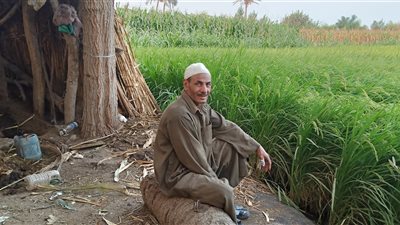 مزارعو الدقهلية «الزراعة تجارة خسرانة».. والمحاصيل لا تغطي تكاليفها.. دعم الدولة ضرورة لاستمرار المهنة الأقدم في التاريخ.. زراعة الأرز مشكلة بسبب المياه.. والمبيدات ضمن الأزمات