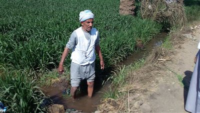 الحاج غانم.. قصة مزارع مع الأرض.. الرجل الخمسيني: مشاكلنا بلا حلول.. والحكومة لا تهتم بنا.. ندرة المياه أزمة مستمرة طوال العام.. وتوفير الأسمدة وتكلفة الزراعة أهم المشكلات