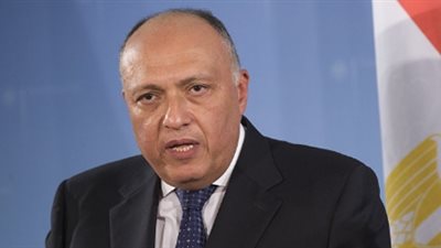 شكري يلتقي وزير خارجية فنزويلا على هامش الدورة الـ37 لمجلس حقوق الإنسان