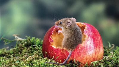 أفضل الصور المرشحة لتقويم 2020