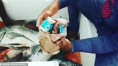 صياد يعثر على مفاجأة صادمة داخل بطن سمكة (صور)