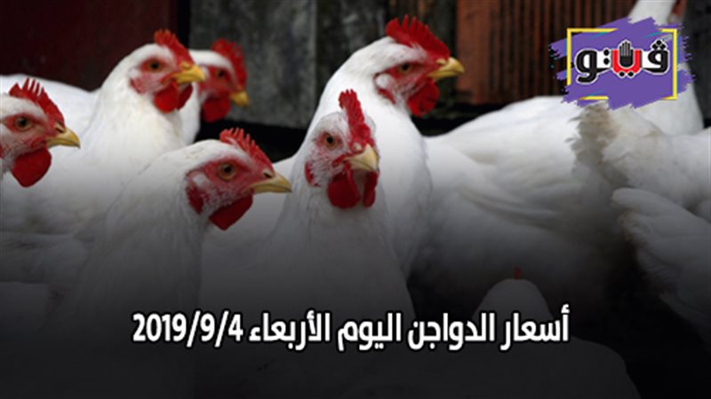أسعار الدواجن اليوم
