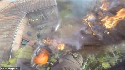 اشتعال النيران بنخلة يعتليها رجل (فيديو وصور)