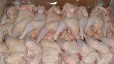 مصادرة 4،5 أطنان دواجن فاسدة داخل مصنع بمدينة نصر