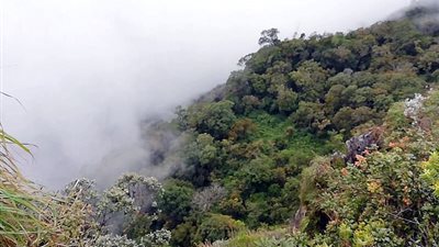 سياح يغامرون بحياتهم على حافة جرف مخيف (فيديو وصور)