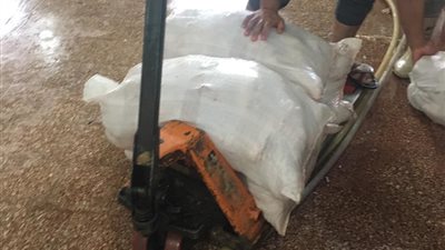 ضبط كميات كبيرة من الدواجن البرازيلية منتهية الصلاحية بالمنيا (صور)