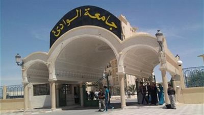 مجلس جامعة جنوب الوادي يعقد ملتقى الثقافة الأفريقية أكتوبر المقبل