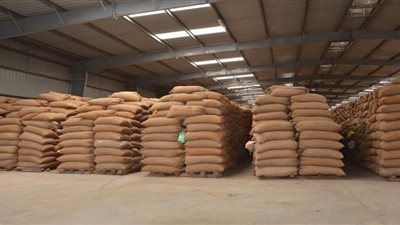 إحالة صاحب شونة بالشرقية للنيابة بعد رصد عجز 9306 أطنان قمح