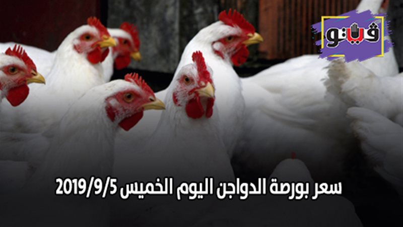 سعر بورصة الدواجن