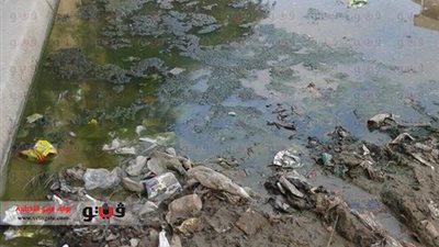 بالصور.. الصرف الصحي يغرق شوارع العجمي