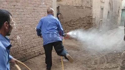حشرات مجهولة تسبب ذعر المواطنين وإصابتهم بحكة بقرية بالقليوبية (صور)
